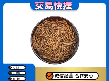 宜宾礼品回收虫草.jpg